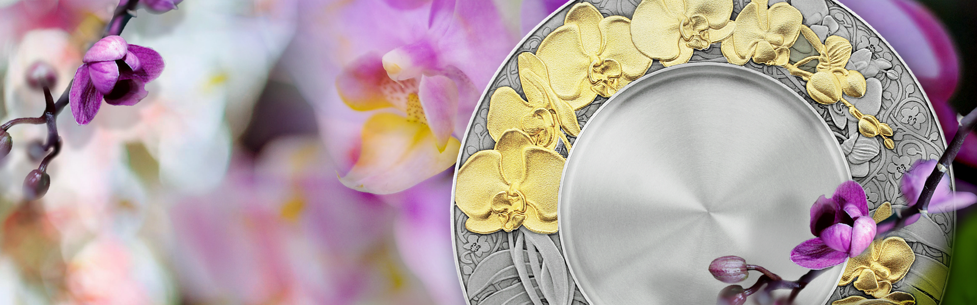 Perfect Bloom to Celebrate All of Life's Precious Moments