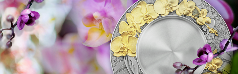 Perfect Bloom to Celebrate All of Life's Precious Moments